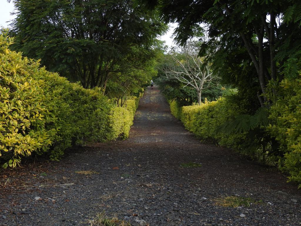 Hostal La Sultana ซานตาโรซา เดกาบัล ภายนอก รูปภาพ